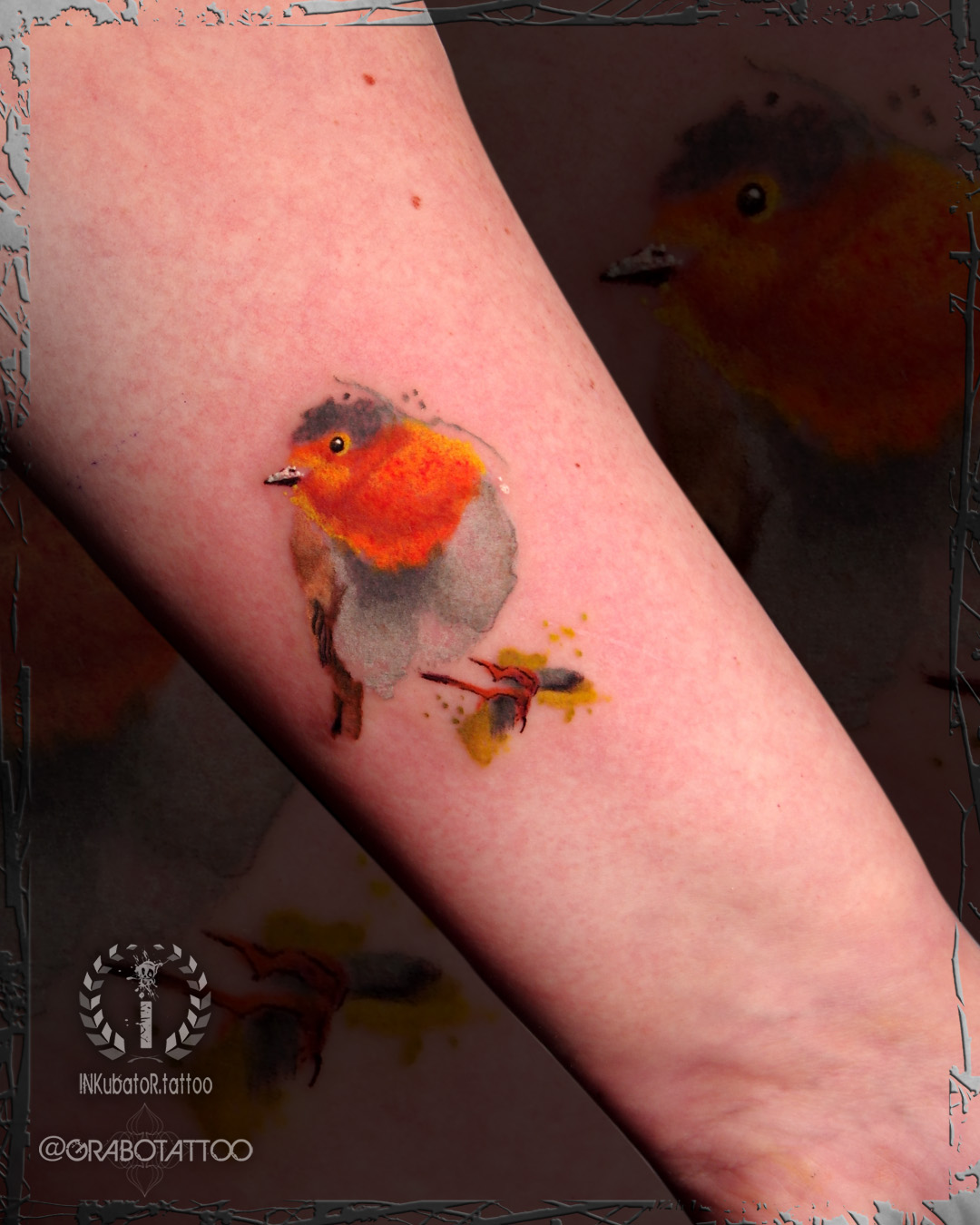watercolour robin