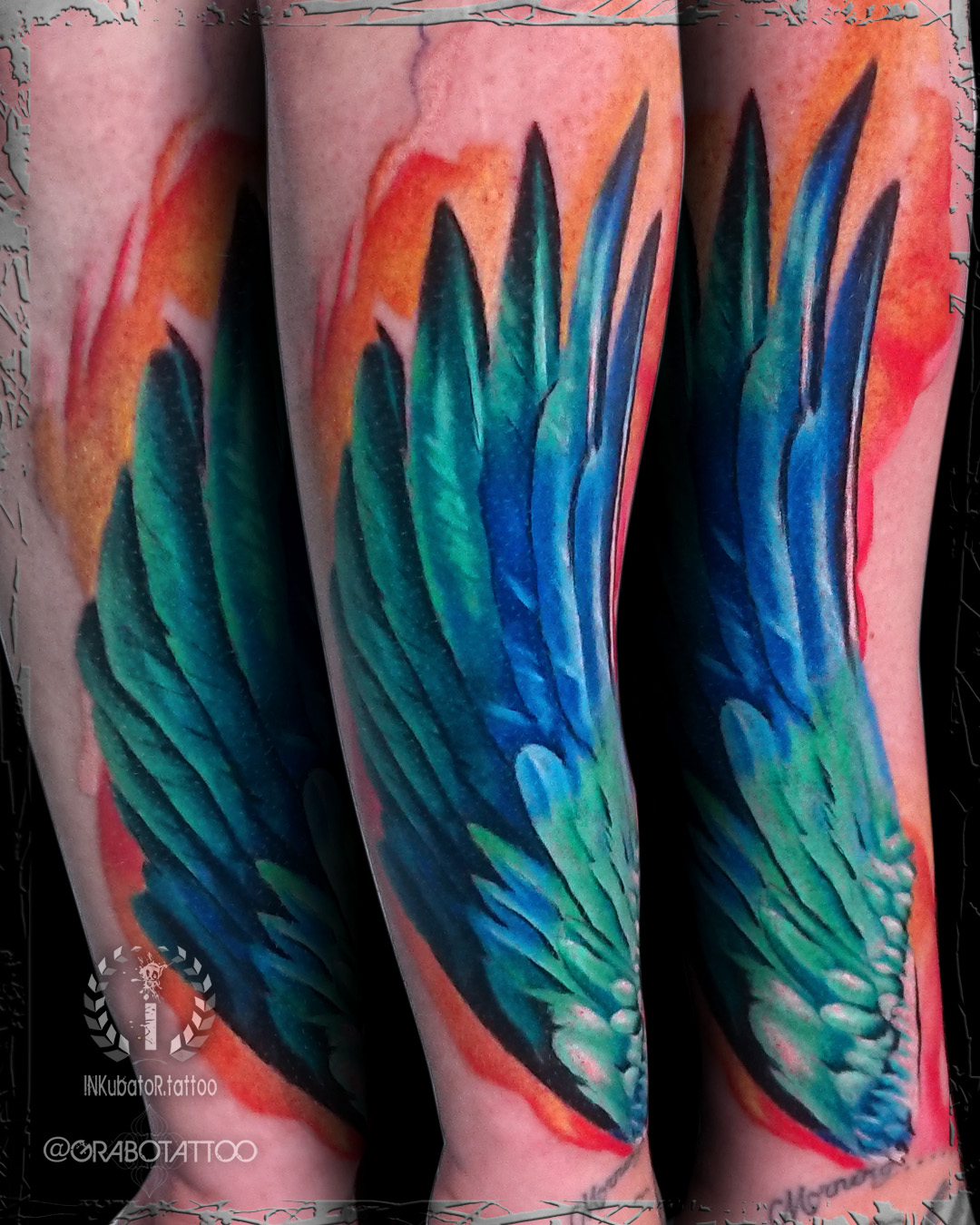 colour feather